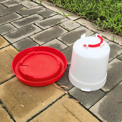 Long Lasting large poultry drinker Cylindrical Hen Water Feeders Perfect Solution For Poultry Watering