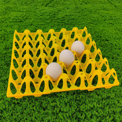 Reusable Agriculture Egg Tray With 30 Holes Rectangular Shape For Safe Transport In Carton