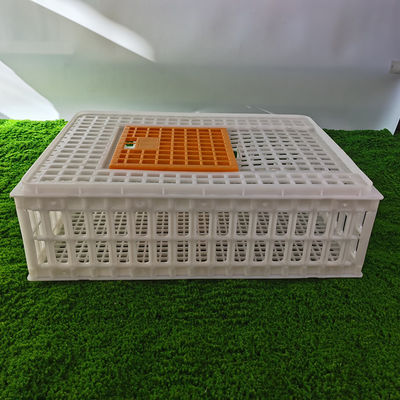 Portable Poultry Cage With Hygienic Design Secure Locking System Sturdy Construction