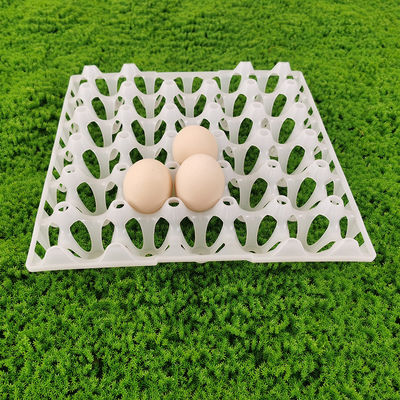 High-Capacity Poultry Feed Bucket for Large-Scale Poultry Farms plastic egg trays farming technology