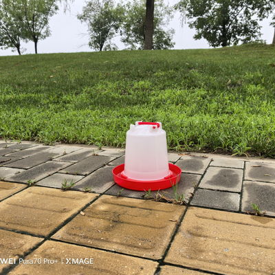 Plastic Poultry Drinker Red For Improved Poultry Performance And Profitability Fresh Drinking Water