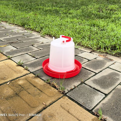 Plastic Poultry Drinker Red For Improved Poultry Performance And Profitability Fresh Drinking Water