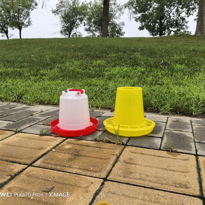 Easy Installation Poultry Drinker With Anti-drip Feature And Cone Shape Backyard Poultry