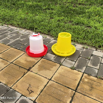 Easy Installation Poultry Drinker With Anti-drip Feature And Cone Shape Backyard Poultry