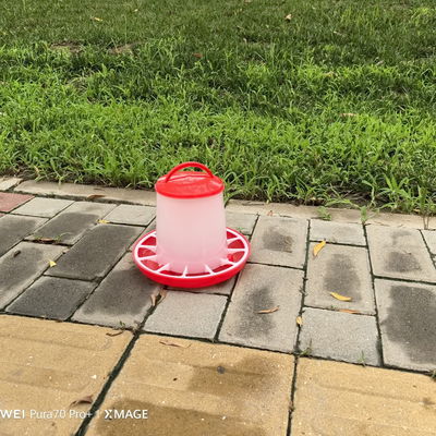 Innovative Freestanding Chicken Feed Dispenser With Cylinder Technology