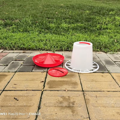 Spacious Standard Size Plastic Poultry Feeder / Fowl Feeding Tool