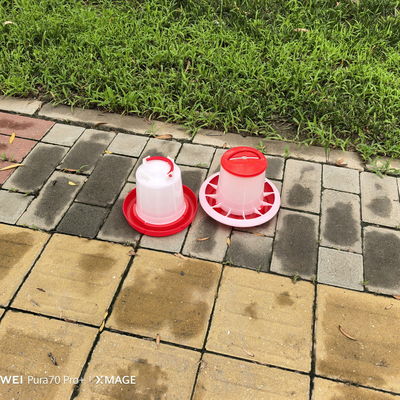 Automatic Labor Saving Plastic Chicken Feeder Waterer 1L Capacity Pigeon Supplies