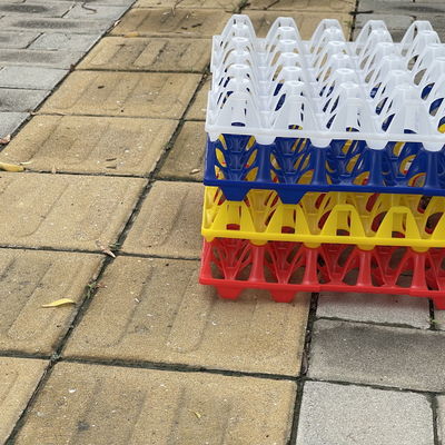 Plastics Egg Container Perfect Solution For Egg Storage And Transportation