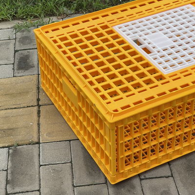 Sturdy Secure Chicken Farming Poultry Carrier Diy Chicken Transport Crates